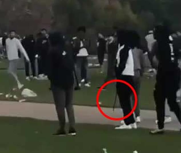 A standoff in Hyde Park in April 2019 as thugs smashed bottles and chased each other