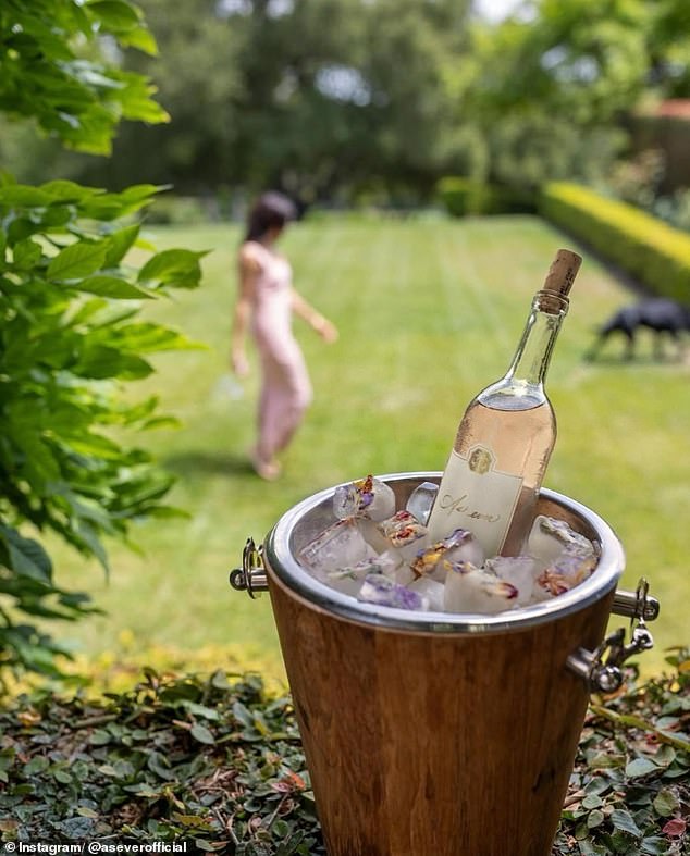 Meghan was also mocked for her 'bizarre' promotional shoot, which featured an ice bucket covered in flower sprinkles