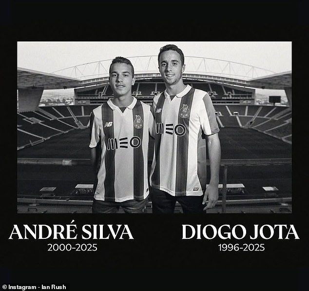 Diogo and his brother had been on their way to get a ferry when the tragic crash happened