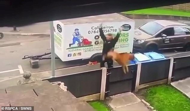 Kieran O'Connor, 35,was caught on CCTV launching his dog over his garden fence