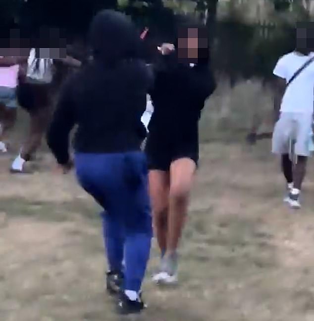 This is the horrifying moment a knife-wielding attacker threatens a young girl in a London park, as dozens scream in terror
