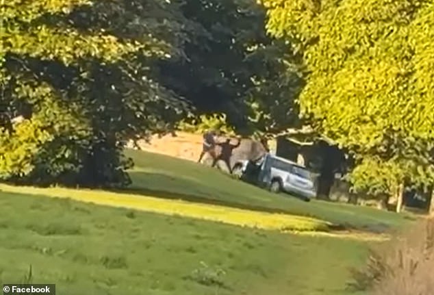 Horrifying footage appears to show the moment a man is set upon by a gang armed with a machete as a vehicle drove into a park in Aberdeen