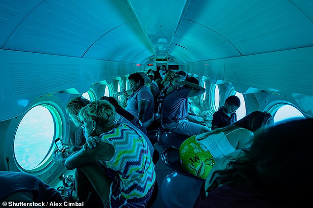 Travel psychologist Dr Charlotte Russell told MailOnline that many of us try activities that we wouldn't ordinarily do at home because we feel more 'carefree' while on holiday (pictured: a tourist submersible vessel)
