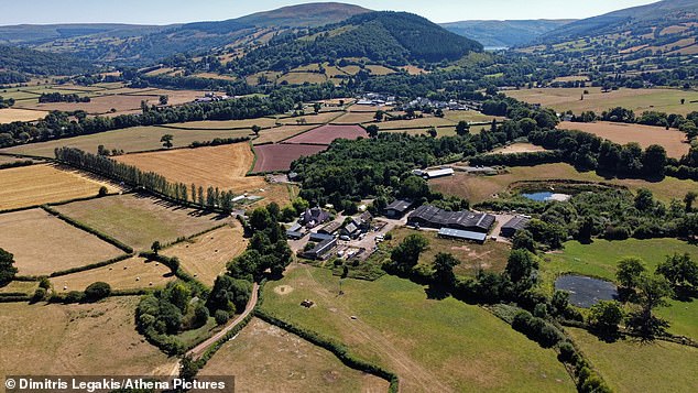 Gilestone Farm, Powys, bought by the Welsh Labour government for £4.25m to host a festival spin-off which cannot be used after pair of protected ospreys began nesting on the site
