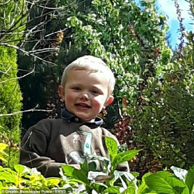 Three-year-old Daniel Twigg died after being mauled by two 'dangerous' and 'powerful' guard dogs during a 'furious and prolonged' attack