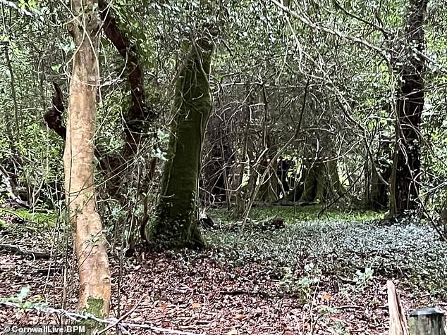 The shocking find was made after officers discovered the body of Daniel Coleman in the woodland near Sticker, in Cornwall