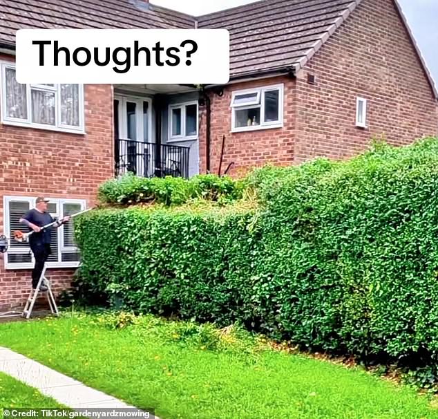 In a video shared on TikTok, an irritated homeowner, showed how something as mundane as a garden border can cause conflict after he claimed his neighbours refused to cut their hedge