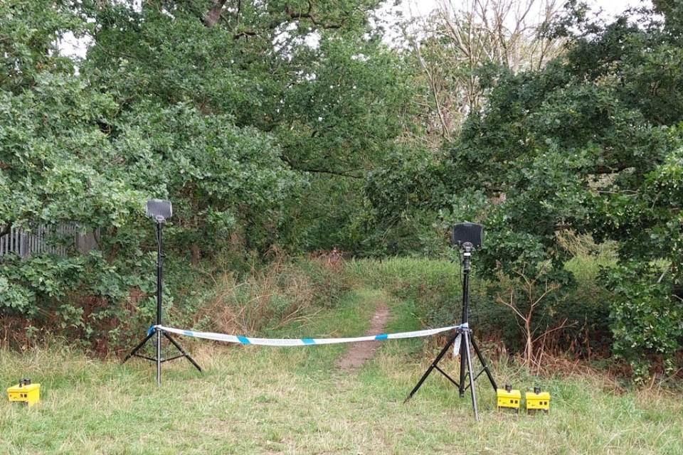 Crime scene investigation in Hangman's Woods.