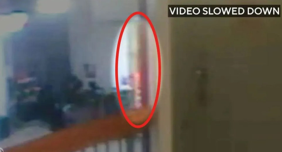 CCTV footage showing a blurry orange figure near Epstein's cell.