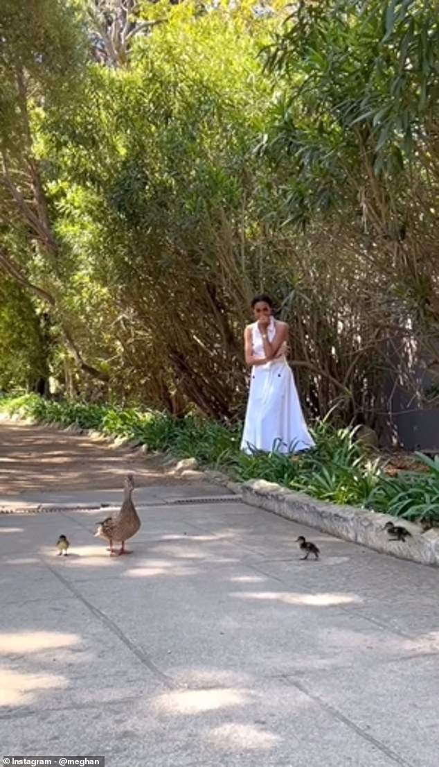 Meghan had shared a clip of the ducks on her Instagram page over Easter. She captioned the video: 'Wishing you a Happy Easter full of love¿.and surprises!'