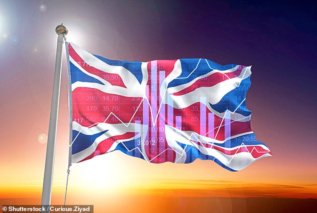 Flying the flag: The Treasury, the financial regulator, major high-street banks and investment firms are teaming up to extol the benefits of investing