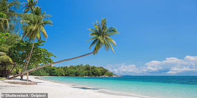 The palm-tree strewn island is just a 50-minute catamaran ride from Singapore