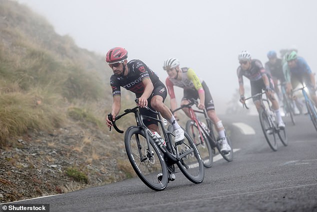 Julian Alaphilippe (pictured leading the pack) snatched a cardboard sign from a fan during Stage 14 of the 2025 Tour de France on Sunday