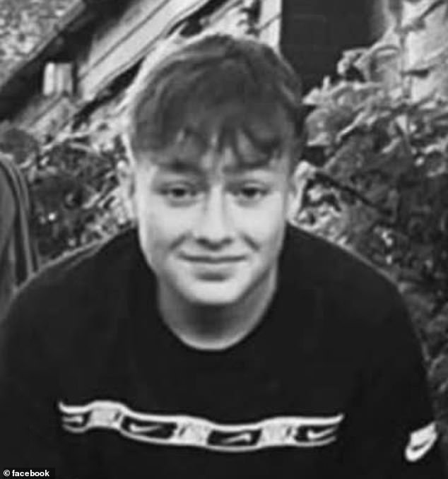The body of Daniel Drewitt (pictured), 16, was pulled from a pool in Sutton Park, Birmingham, after he got into trouble while swimming yesterday evening