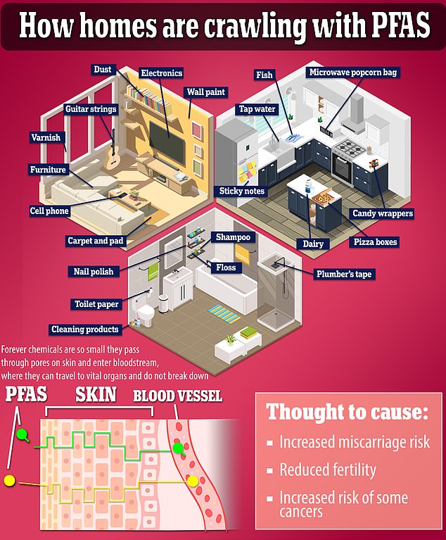 PFAS is a common contaminant in many household items from cookware to hamburger wrappers. It can remain in the environment as well as human tissue for years, even decades, before being cleared out
