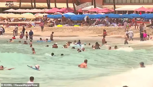Pictured: Many people at Waikiki Beach in Honolulu failed to heed tsunami warnings on Tuesday and stayed in the water despite the incoming danger