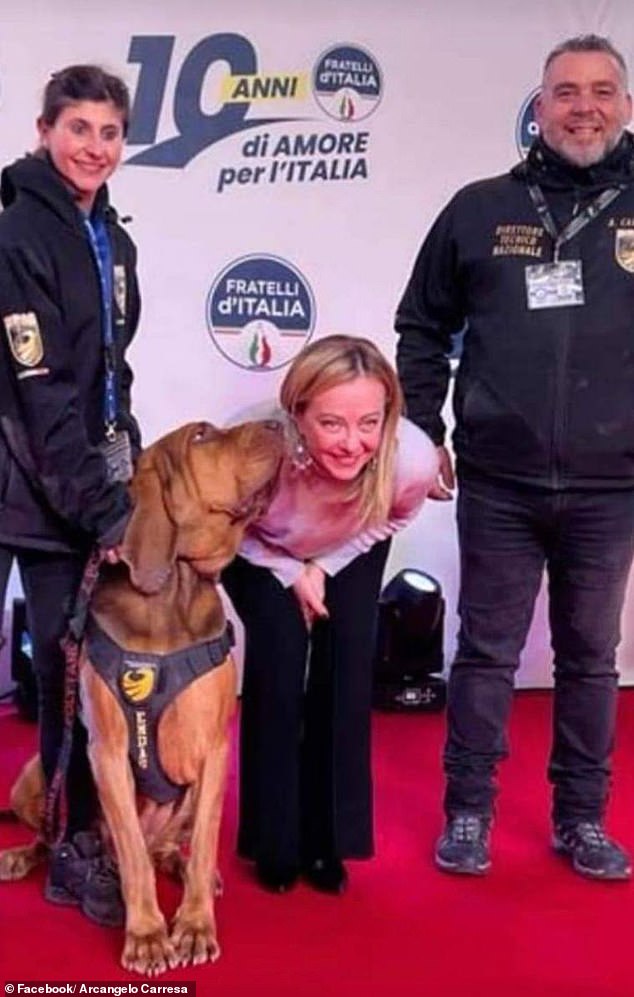 A 'hero' sniffer dog from Italy called Bruno tragically died after being fed nail-filled sausages. Picture shows Bruno alongside Italian Prime Minister Giorgia Meloni in 2022