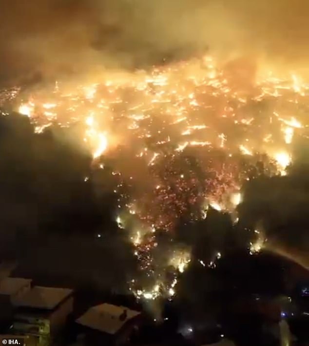 Flames rip through the forested mountains surrounding Bursa city in northwest Turkey overnight