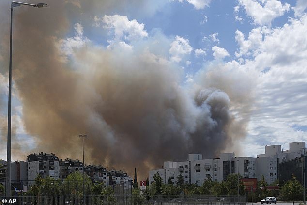 Smoke rises from trees burned by wildfires near Montenegro's capital, Podgorica, on Sunday