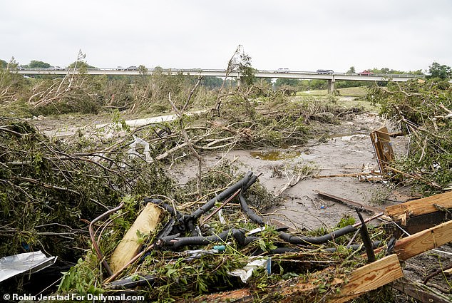 Full grown tree's were uprooted during the recent Guadalupe River flood in Kerrville, Texas