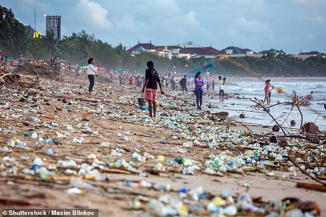 Bali in reality. Pictured: Beach pollution at Kuta beach, Bali