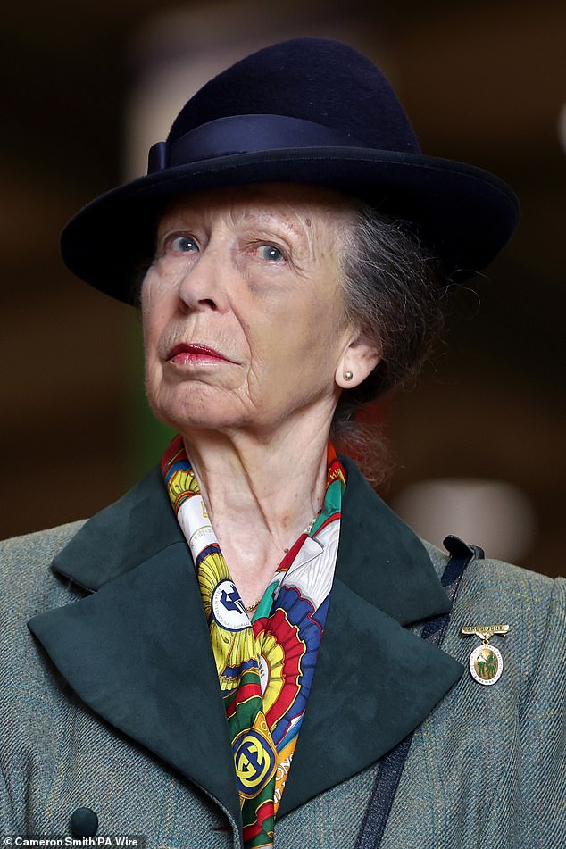 Princess Anne 's injuries after suffering a concussion last year were 'much worse' than the public knew at the time, it has been revealed. Pictured in July 2024