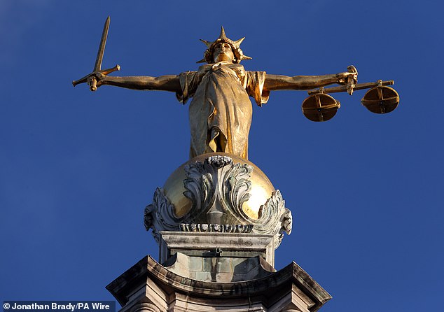 Thousands of defendants a year could be stripped of the historic right to a jury trial under radical proposals (file photo)