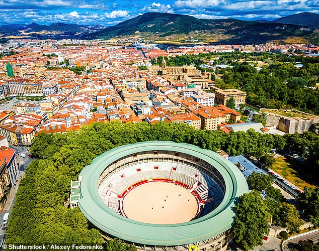 Danger: Some 16 people have been killed since records began at the historic Pamplona bull races in Northern Spain