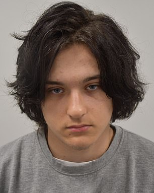 Ugnius Asmena, 20, was convicted of aggravated arson