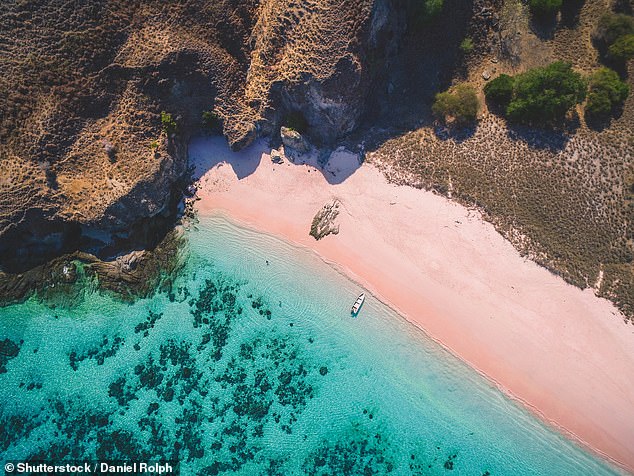 The 24-year-old reportedly suffered signs of distress swimming in the Semangko Sea near the famous Pink Beach in East Lombok on July 30 (File image of the Pink Beach)