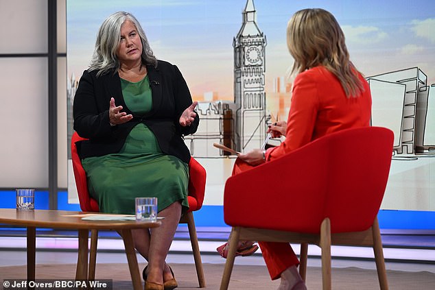 Transport Secretary Heidi Alexander today admitted she has not been able to afford an electric car - as she prepares to unveil millions of pounds in new subsidies