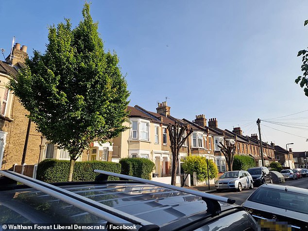 But locals have expressed their fury at the decision, arguing that the streets (pictured) have become lined with unattractive 'bare stumps', while others raised concerns regarding the lack of shade during the hot summer months