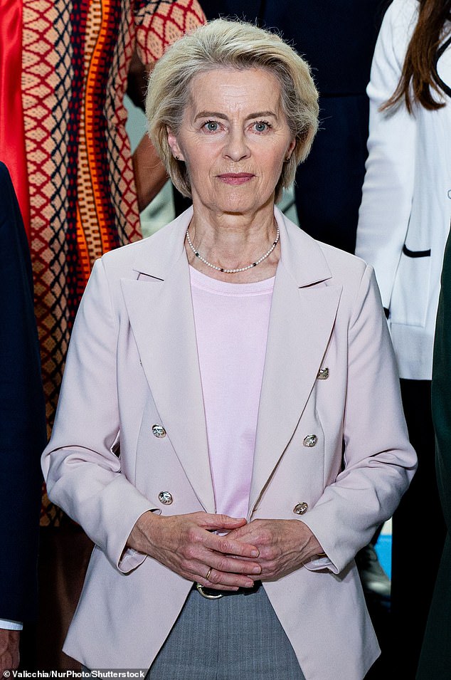 The EU had hoped to reach a comprehensive trade agreement with the US for the 27-country bloc. Trump claimed the EU had the 'largest trade deficits' with the US (pictured: Ursula von der Leyen)
