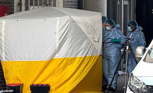 Officers were called at around 1pm today to reports that multiple people had been assaulted at a business premises (Pictured: Forensics on the scene)