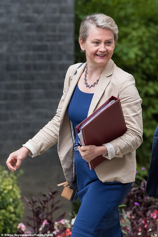 When footage first emerged of the brawl home secretary Yvette Cooper (pictured) said she would speak to police about the ¿urgent steps¿ they would need to take