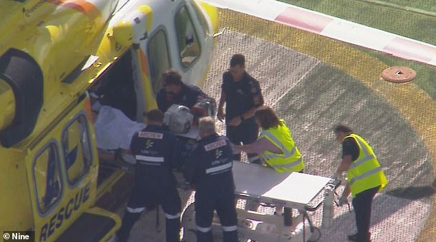 Paramedics treat a woman who has had her arm ripped off following a horrific lion attack at a Queensland zoo