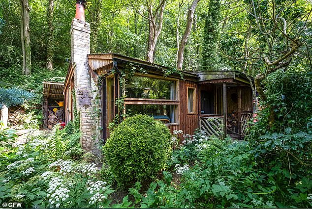 Up for grabs: An off-grid woodland cabin in Northumberland has come up for sale for offers over £165,000 via estate agent GFK