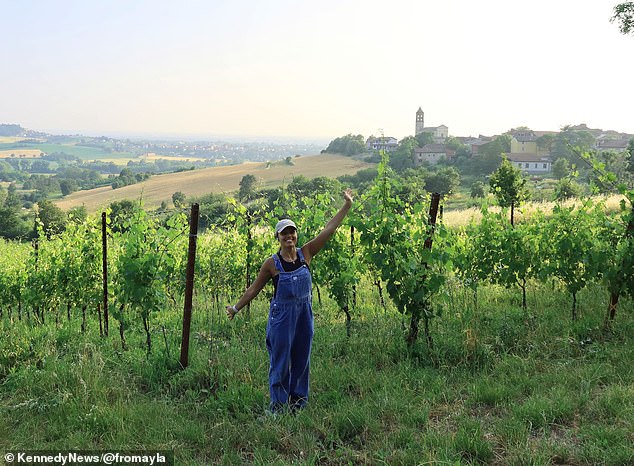 Last month, Ayla flew from London for the Italian countryside to take an unpaid job picking grapes at a winery every day