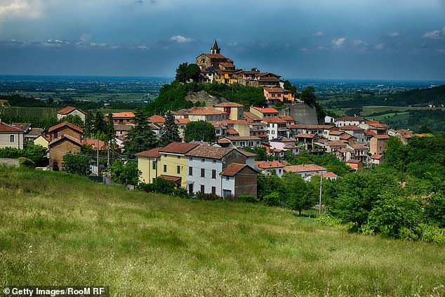 Ayla moved her life to the rural Italian town that boasts a population of 379 people, where she spends her mornings and evenings working among the vineyards (stock image)