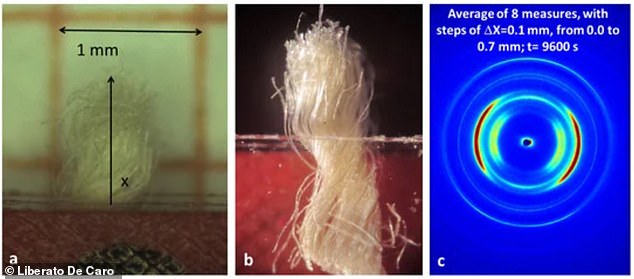 The scientists obtained small samples of the shroud of Turin (left) and exposed it to Wide-Angle X-ray radiation to create an image of the linen sample (right) which was used for dating. Although these methods dated the Shroud back to 0 AD, the results have been strongly criticised