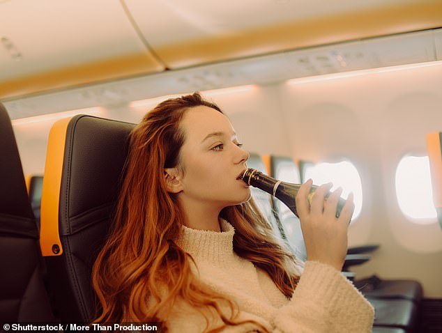 In an even more severe scenario, travellers that cause a flight to be cancelled could be banned from flying in the future (stock)
