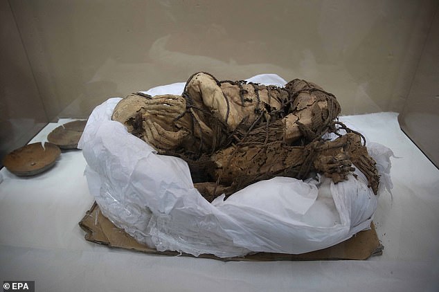 The mummified children were uncovered in the grave of an important man – possibly a political figure – who was aged between 35 and 40 at the time of his death