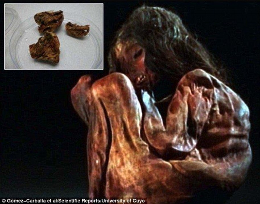Child sacrifice seems to have been a relatively common occurrence in the cultures of ancient Peru. Among the finds revealing this ritual behaviour were the mummified remains of a child's body (pictured), discovered in 1985 by a group of mountaineers