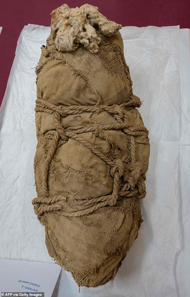 Six mummified children found in a grave in Peru were likely sacrificed to accompany a dead nobleman to the afterlife 1,200 years ago, archaeologists believe