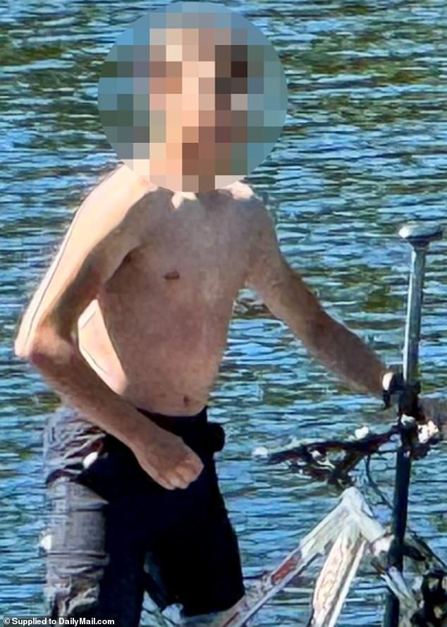 Lawyers for the 15-year-old boy (pictured) accused of killing his parents and three siblings in Fall City, Washington, claim the parents were abusive and isolated the children