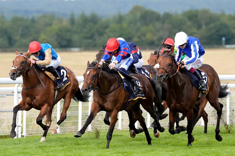 Horses racing at Goodwood Racecourse.