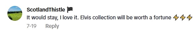 TikTok users reacted overwhelmingly positively to the property's homage to the American singer