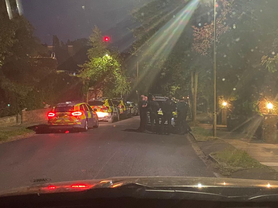 Police cars at night on a residential street.