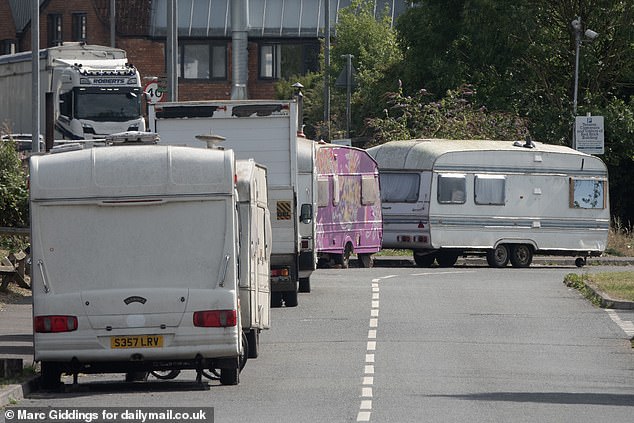 It is estimated there are currently up to 300 of them in and around Glastonbury on a near-permanent basis