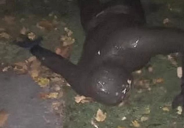 In late October 2022, a teenager reported a 'freaky' encounter with a man (pictured) dressed in a gimp suit in Cleeve, North Somerset, at around 12.25am